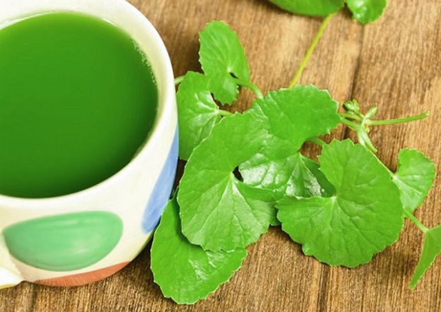 Trị mụn bằng rau má là bài thuốc Đông y đơn giản mà hiệu quả