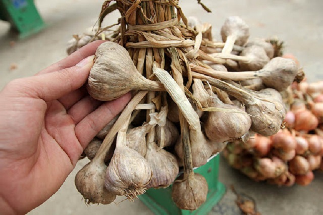 Hành tỏi Kinh Môn là thương hiệu được rất nhiều người dân trong cả nước ưa chuộng