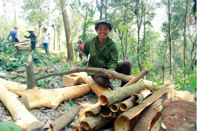 Dễ dàng nhận thấy sự mừng rỡ xuất hiện trên khuôn mặt của những người dân, vì quế năm nay được mùa được giá