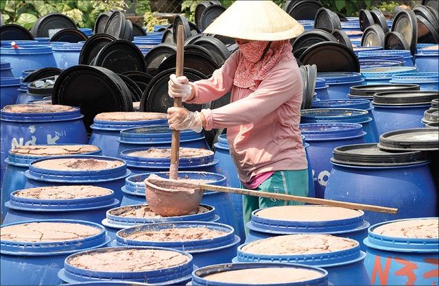 Khấy đảo là phương pháp làm nước mắm có truyền thống lâu đời ở Cát Bà