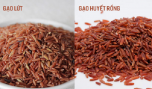 Tiêu dùng thông thái: Phân biệt gạo lứt và gạo huyết rồng