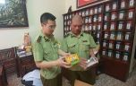 Hàng giả, hàng nhái: Bắt giữ 90.000 gói thực phẩm bảo vệ sức khỏe xâm phạm nhãn hiệu