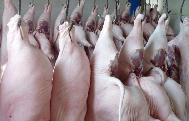 Gi&aacute; thịt lợn hơi tr&ecirc;n cả 3 miền đều neo ở mức cao, chưa thấy dấu hiệu xuống gi&aacute;