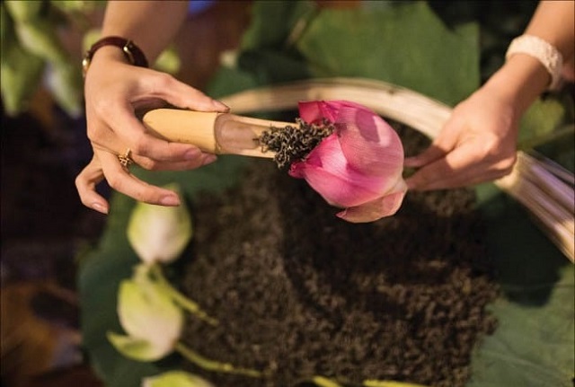 Chè dùng để ướp hoa sen cũng phải là loại chè hảo hạng