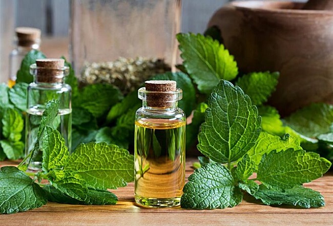 Xông hơi mặt bằng lá tía tô cũng là phương pháp làm trắng da hiệu quả