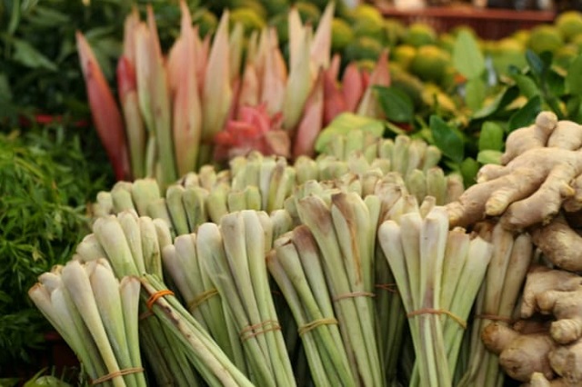 Cây sả sau khi thu nhập được trồng rải rác ở tất cả các tỉnh của nước ta, đặc biệt ở vùng Tây Nguyên và Nam Trung Bộ