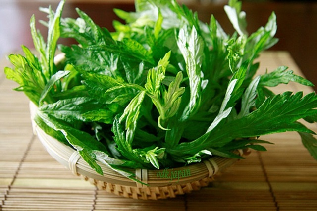 Các nghiên cứu khoa học về dược tính của ngải cứu, các bộ phận của cây đều có công dụng chữa bệnh từ lá tới thân