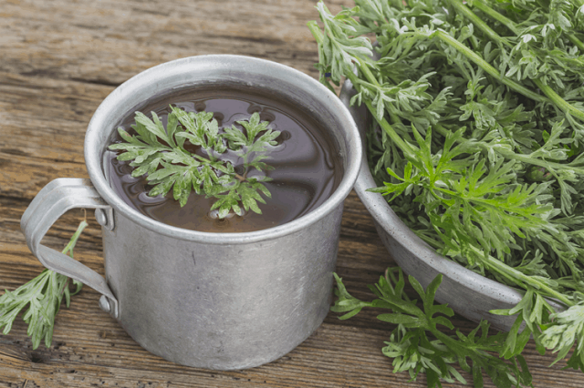 Bài thuốc ngải cứu với chanh và bưởi là bài thuốc hoàn hảo cho người bị bệnh thoát vị đĩa đệm