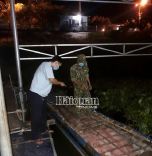 Hàng giả, hàng nhái: An Giang bắt giữ vụ vận chuyển lợn nhập lậu bằng xuồng máy