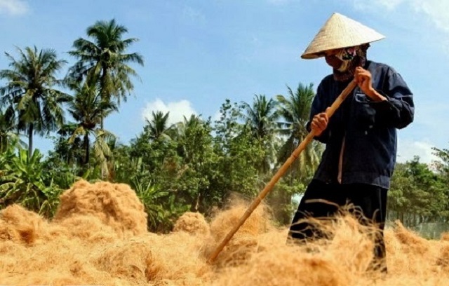 Làng nghề làm chỉ xơ dừa An Thạnh bên sông Thơm hiện đang giải quyết việc làm cho hơn 1.000 lao động