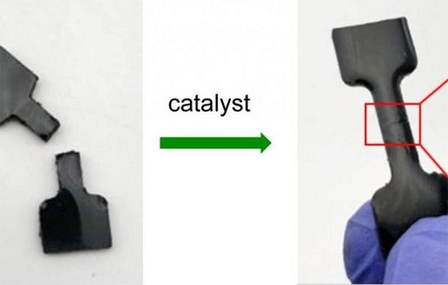 Loại cao su này có thể giúp giảm lượng khí thải carbon của ngành công nghiệp lốp xe