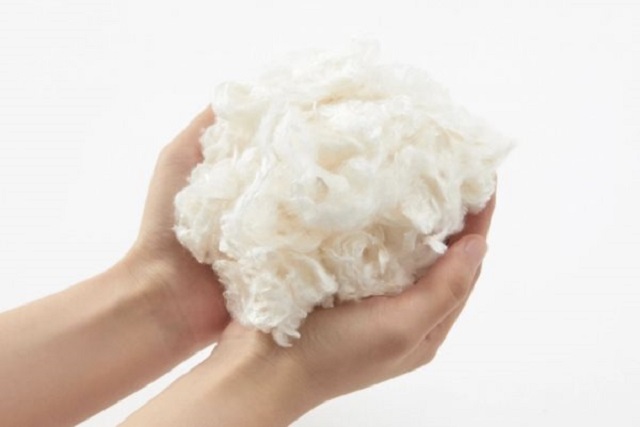 Chất xơ thu được sau quy trình xử lý sữa bò bị hư hỏng