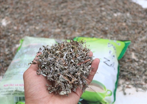 Chè dây Ra Zéh được nhiều người dân trong vùng ưa chuộng