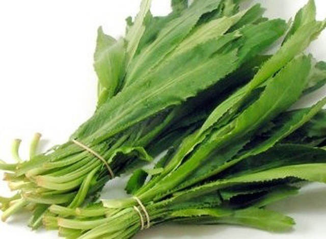 Mỗi bộ phận của cây chứa các thành phần với những công dụng khác nhau