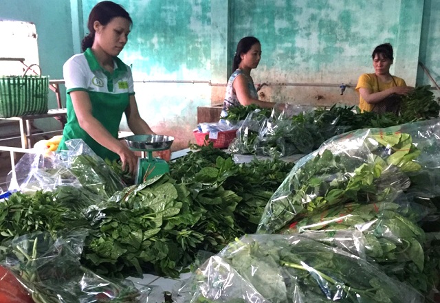 HTX Hoà Bình đang từng bước sản xuất rau theo hướng hữu cơ, mục đích lâu dài sẽ sản xuất rau hữu cơ, để đáp ứng nhu cầu ngày càng cao của thị trường