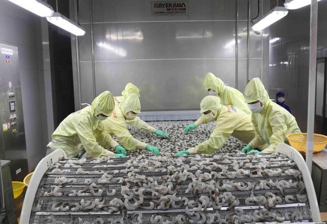 Cách tăng thị phần mặt hàng xuất khẩu vào New Zealand