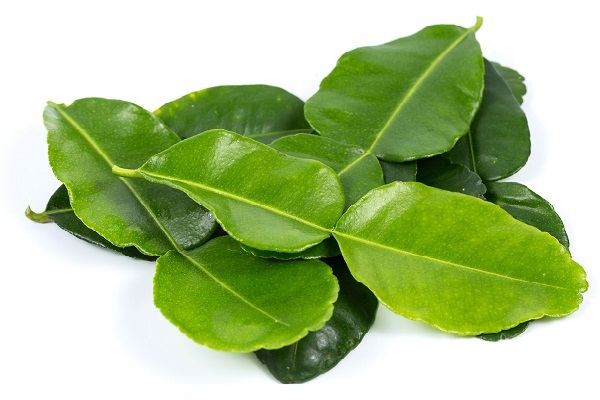 Trong dân gian, cách chữa viêm xoang mũi bằng dân gian là mẹo được sử dụng rất phổ biến và có tác dụng chữa bệnh rất hiệu quả