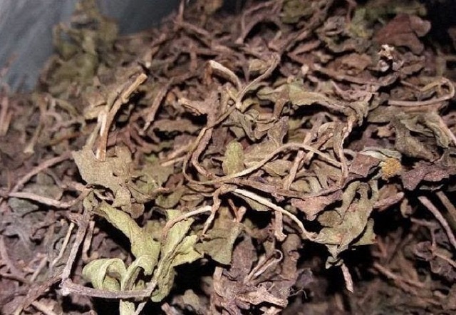 Sắc nước sài đất khô trị mụn rất hiệu quả