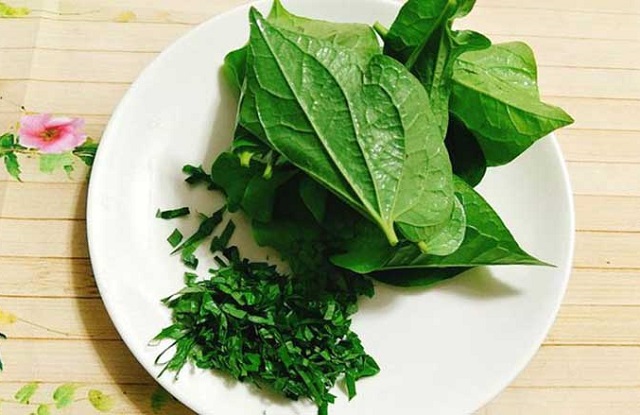 Cách chữa viêm xoang bằng lá lốt được nhiều người áp dụng