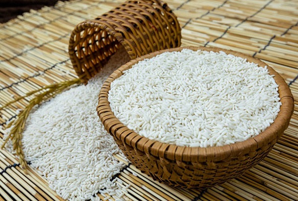 Nếp cái hoa vàng Thụy Lâm Đông Anh được trồng theo phương pháp thâm canh lúa cải tiến SRI