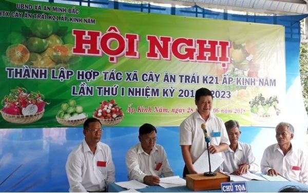 Vùng Nguyên Liệu: Phát triển kinh tế theo hướng tập thể Vùng Nguyên Liệu: Phát triển kinh tế theo hướng tập thể
