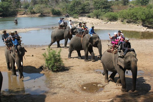 Đắk Lắk: Dừng hoạt động cưỡi voi sau sự cố 3 du khách bị ngã