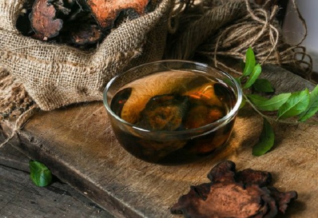 Hà thủ ô là một loại thảo dược có tác dụng trong việc bồi bổ sức khỏe và điều trị một số bệnh