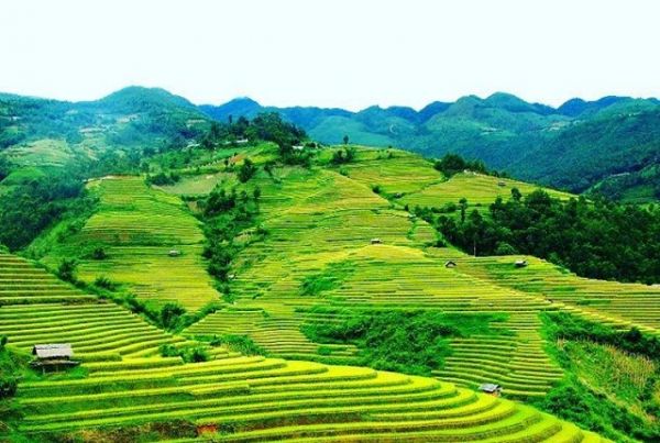 Quảng Ninh: Lần đầu tổ chức Hội mùa vàng ở Bình Liêu