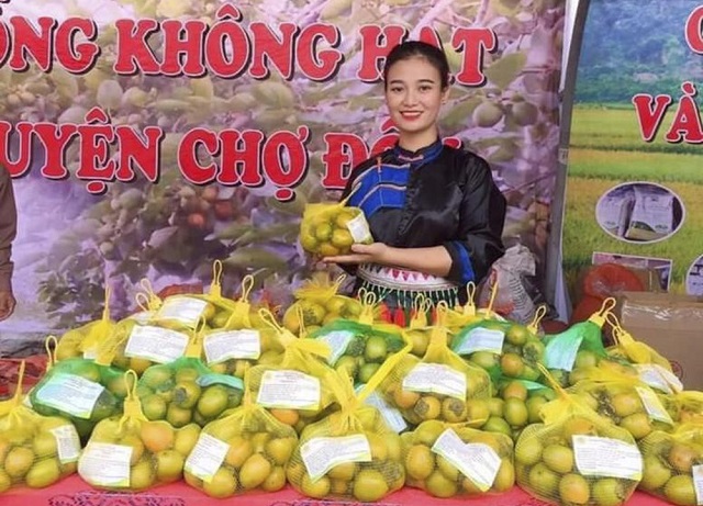 Để giúp hồng không hạt tiếp tục phát triển thương hiệu, tỉnh Bắc Kạn đã và đang có thêm nhiều định hướng để thúc đẩy phát triển hồng không hạt