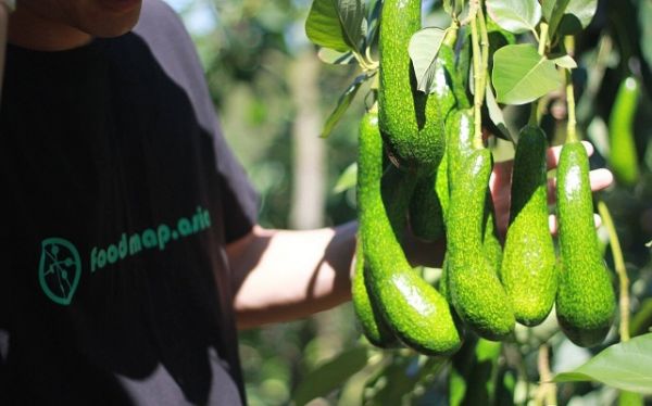 Khởi nghiệp 2020: Startup Foodmap nhận đầu tư 'khủng' từ quỹ ngoại