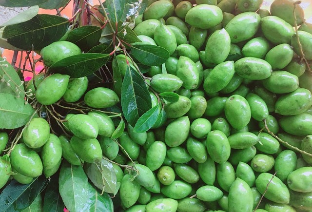 Cà na cho trái giống như trái muỗn ở ngoài Bắc, có hình thuôn tròn, dài cỡ 2 lóng tay