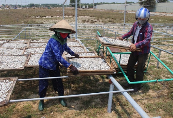 M&ocirc; h&igrave;nh triển khai sẽ mở ra hướng đi mới trong ph&aacute;t triển kinh tế cho c&aacute;c hộ d&acirc;n v&ugrave;ng ven biển