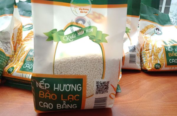 Dẻo thơm Nếp hương Bảo Lạc