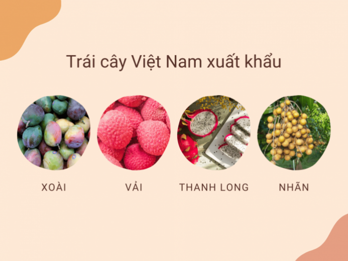 Những yêu cầu cần biết khi xuất khẩu rau quả tươi sang Châu Âu